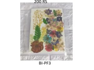 Dry Flower Sheet B