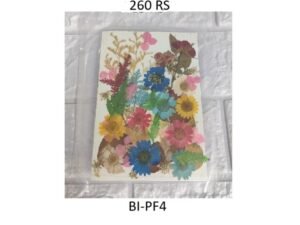 Dry Flower Sheet B