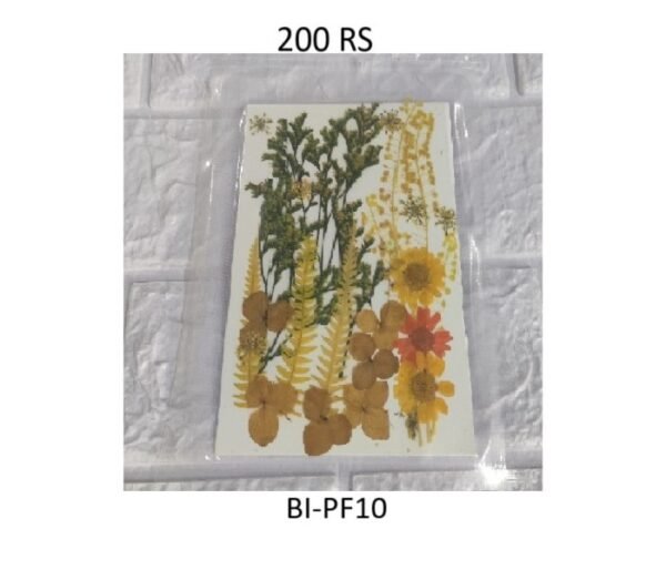 PRESSED FLOWERS