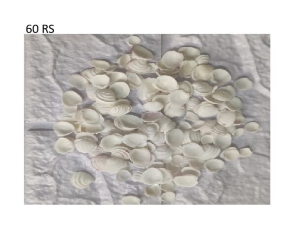 Single Shell L