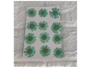 Green Dry Flower Sheet