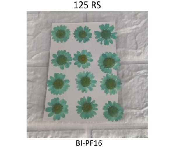 Green Dry Flower Sheet