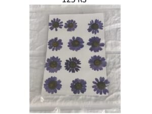 Purple Dry Flower Sheet