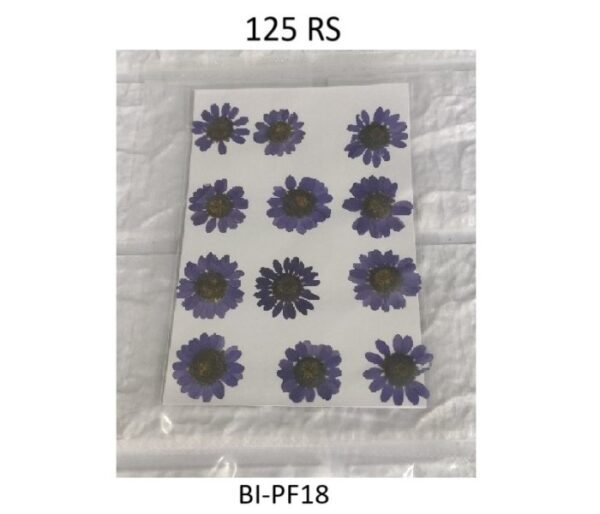 Purple Dry Flower Sheet