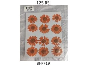 Orange Dry Flower Sheet