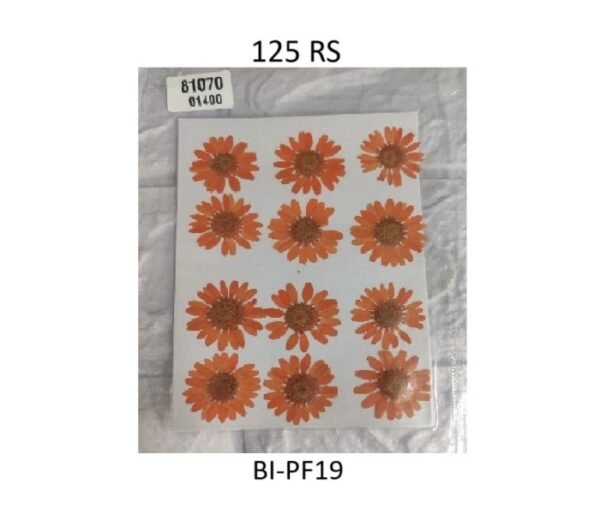 Orange Dry Flower Sheet