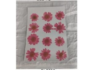 Pink Dry Flower Sheet