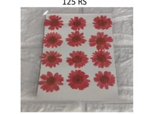 Red Dry Flower Sheet