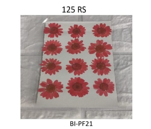 Red Dry Flower Sheet