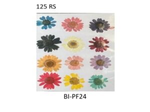 Mix Dry Flower Sheet