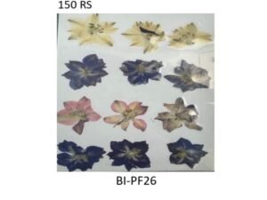 Dry Flower Sheet B