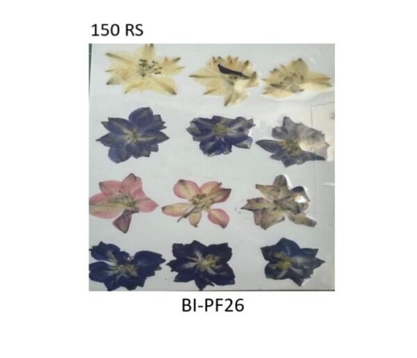 Dry Flower Sheet B