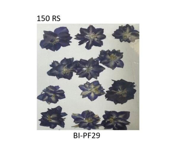 Real Dry Flowers