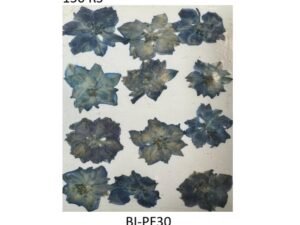 Dry Flower Sheet