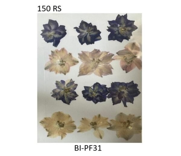 Dry Flower Sheet