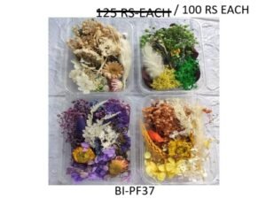 Dry Flower For Resin