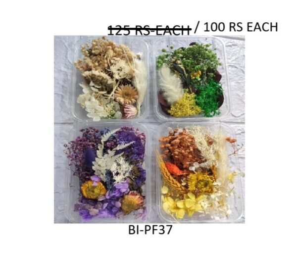 Dry Flower For Resin